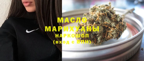 тгк Инсар