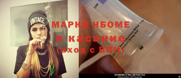 стафф Дубна