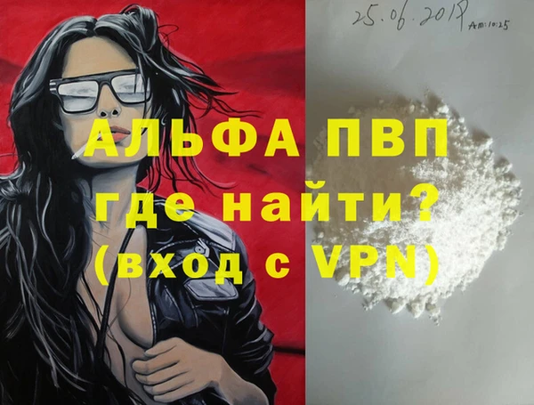 тгк Инсар
