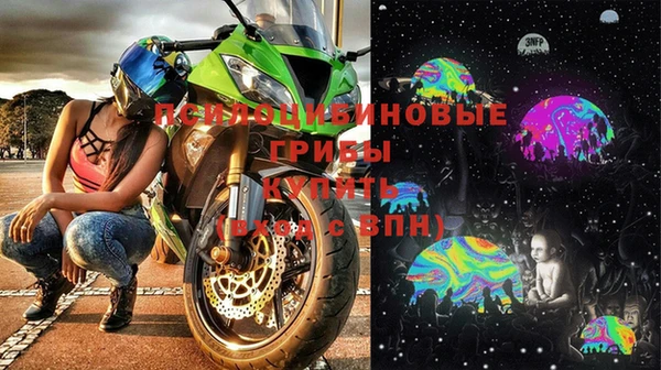 Альфа ПВП Дубовка