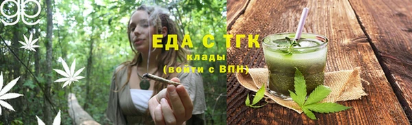 тгк Инсар