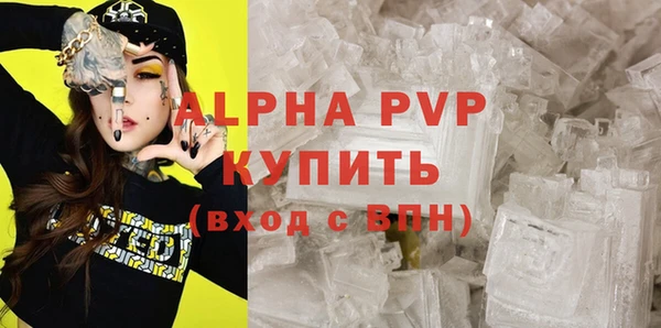 тгк Инсар