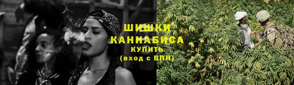 тгк Инсар
