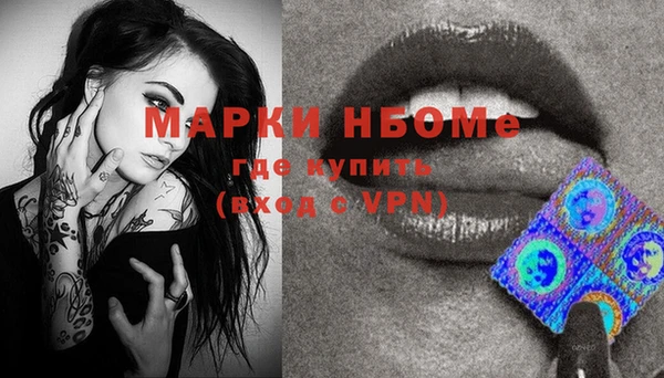 тгк Инсар